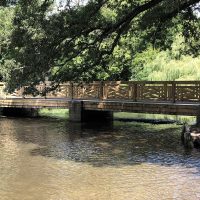 Rustic Bridge 5 Rustic Bridge 5